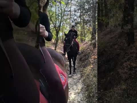 Спуск з Гори 🫣❤️🔥🐎
