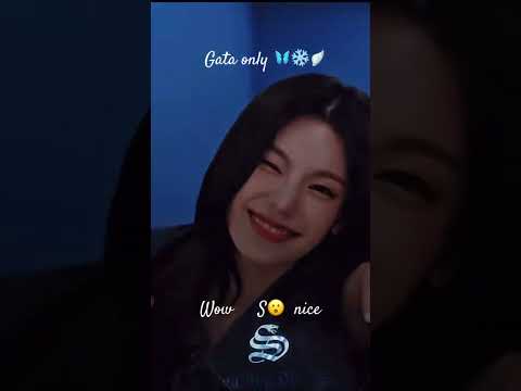 Gata only #treanding #dance #viralvideos #love #shortsviral #song #dancevideo #kpop #music 😈