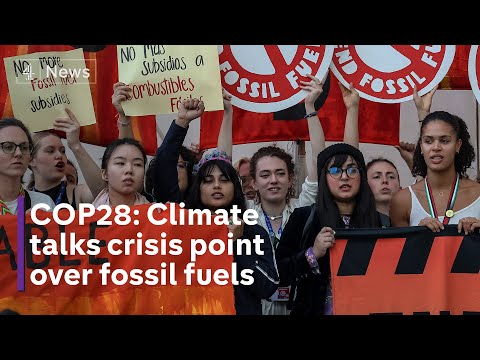 COP 28: 200 countries continue work on agreement after draft text caused widespread anger