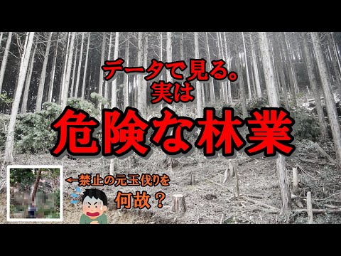 実は危険な林業。災害事故をなくすには？データで見る日本の林業重大災害。