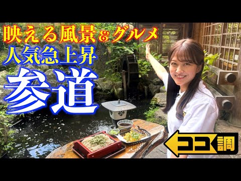 【ココ調見逃し配信】若者急増!SNS映え風景&グルメで人気急上昇中