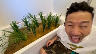 動画サムネイル