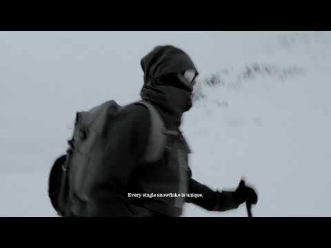 The Swedish Snow
