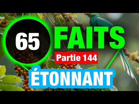 65 Faits Uniques