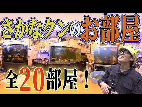【ルームツアー⁉︎】６トンの海水が出てくるお部屋をさかなクンがギョ紹介いたします！【もはや水族館】