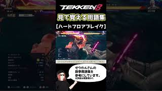 【鉄拳8】見て覚える用語集【ハードフロアブレイク】
