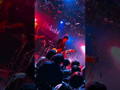 12/4(木)クアトロツアーFinal🔥 #hakubi #ライブ #邦ロック #バンド #recommendsong