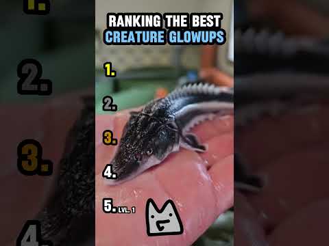 RANKING <strong>THE</strong> <strong>BEST</strong> CREATURE GLOWUPS
