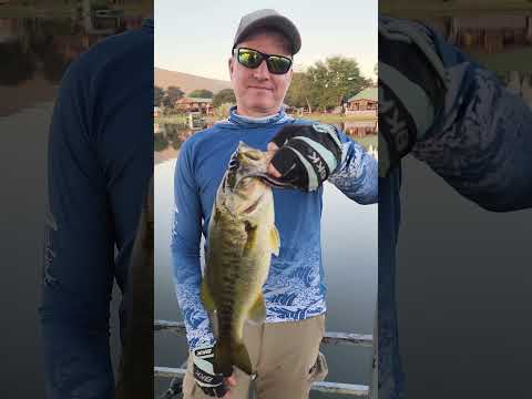 Winter bass fishing on the Olifants River