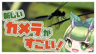新しいカメラで生きもの動画を試し撮り！【HC VX3】