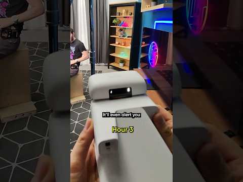 Taking a picture of Linus Every Hour