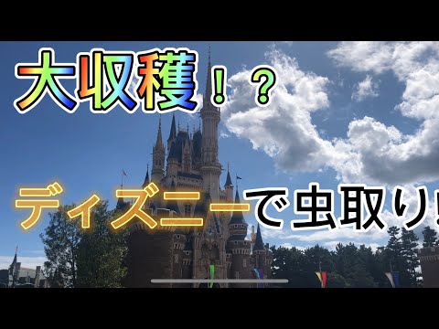 ディズニーでカマキリ採集!結果が凄いことに!?