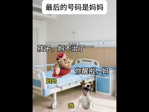 猫の動画サムネイル - 五万可以和妈妈吃好多好吃的#有趣 #猫meme #猫meme剧场 #内容过于真实  #故事 #貓 #猫猫meme小剧场 #喵不可言