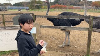 動画サムネイル