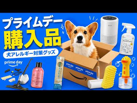 プライムデーで買ったもの全部紹介！【犬アレルギー対策】