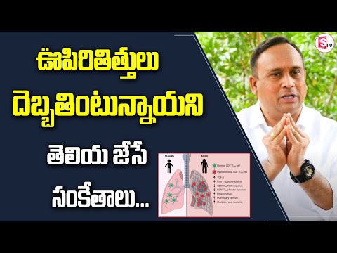 Symptoms for Damaged lungs Functions | lungs damage symptoms in telugu |SumanTV