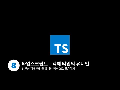 타입스크립트 - 객체 타입의 유니언 Union