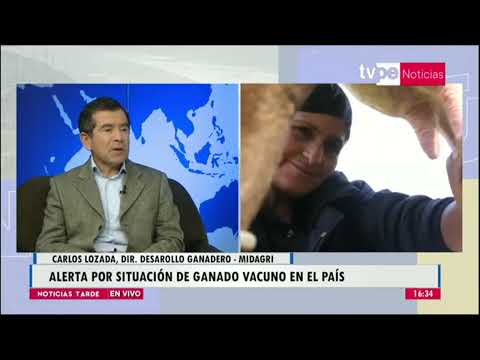 Noticias Tarde | Carlos Lozada, director de desarrollo ganadero del Midagri