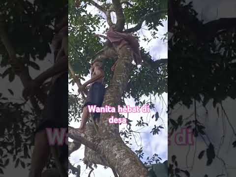 Keseruan hari ini #berandaterbaru #hit #story