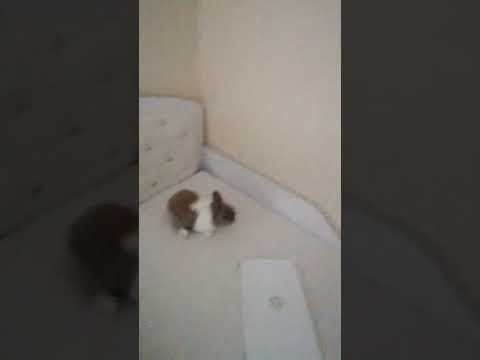 6 października 2024