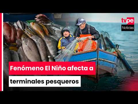 Precio del pescado aumenta a nivel nacional por el fenómeno El Niño