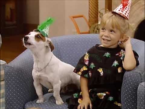 Comets Birthday Party [Full House]
