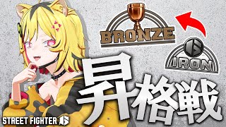 【 スト6 】アイアンの壁を乗り越えるんだッッ！！！！！！！【あおぎり高校/うる虎がーる】