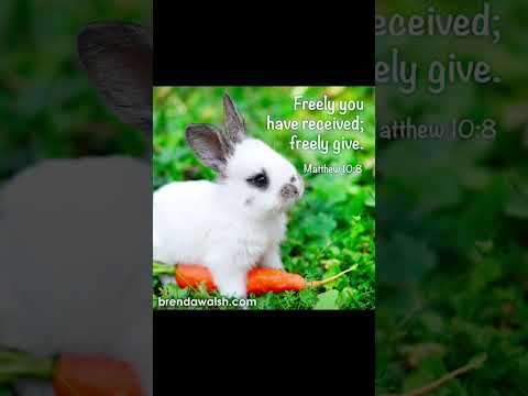 #worshipmusic #christianmusic #gospelmusic #bunny  #love #christiansongs #dailybibleverse #cute