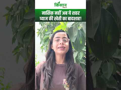 Onion Farming: प्याज की खेती में Nasik की बादशाहत खतरे में ? #lasalgaonmandi #shorts  Kisan India
