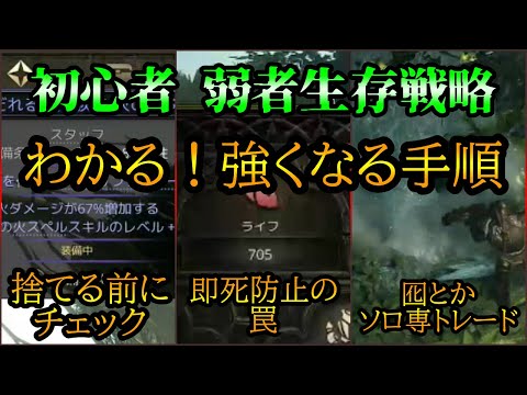 【PoE2】攻略中の初心者が知っておくべき 