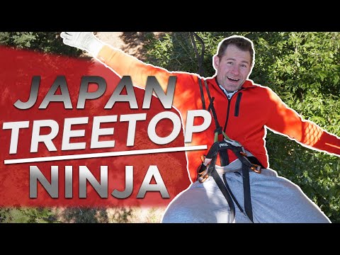 Where To Become A Treetop Ninja In Japan