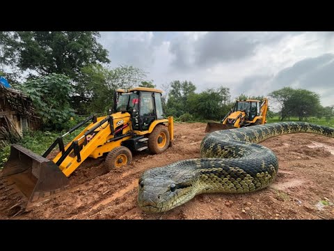 🟡JCB 3DX Backhoe In Action: Efficient Mud Excavation And TATA Tipper Loading 🟡