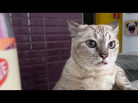 งานก็ต้องทำลูกก็ต้องเลี้ยง