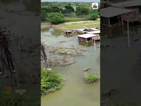 Yamuna Flood: राधा रानी के गांव में यमुना की बाढ़, ड्रोन VIDEO | Flood | Weather News