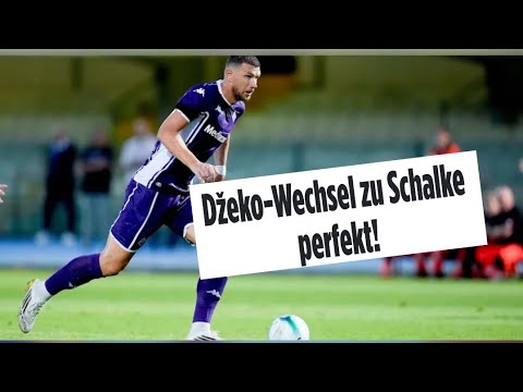 Schalke News: Perfekt Dzeko wechselt ins Ruhrpott zum S04,K.Müller ersetzt J.Heekeren als 2.Torwart