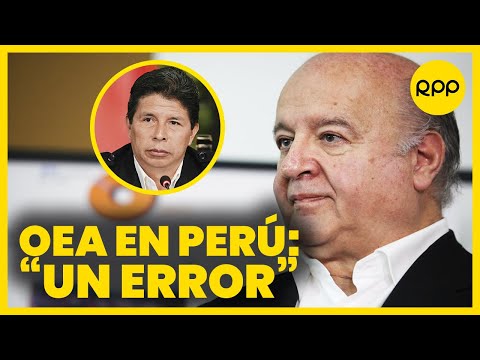 OEA en Perú: No es necesaria esta misión, no hay golpe de Estado, insiste Hernando de Soto