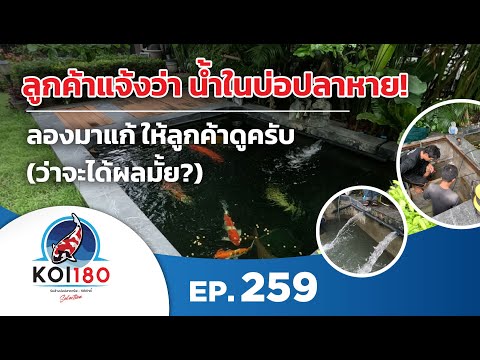 แก้ปัญหาบ่อปลาคาร์พบางแค-กร