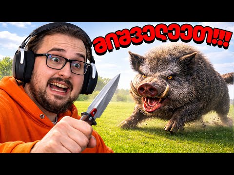 ვცდილობ ყველაზე საშიში ღორის დაჭერას | RDR 2 დავალებები