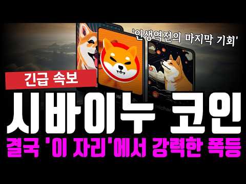 시바이누 코인 '이 자리' 부터 강력한 폭등 시작 합니다