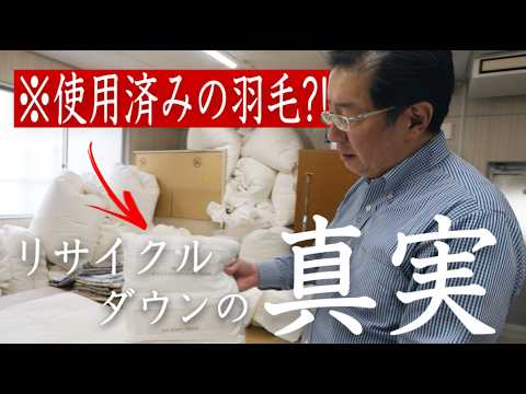 【衝撃】誰かが使った羽毛を使う？！？リサイクルダウンが良い理由を話します