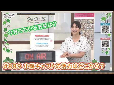 Oh！Cha 15（お茶行こう） 7月31日(金曜日)【ショップチャンネル】