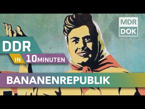 Kollektivierung statt Ausbeutung - Planwirtschaft der DDR erklärt | DDR in 10 Minuten - MDR DOK