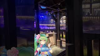 【草津温泉は本物の避暑地でした】夏本番でもとても涼しく足湯も手湯も最高に気持ち良いのです♨#家族旅行 #温泉 #shorts