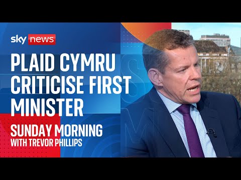 Wales first minister 'shouldn't have put himself in compromising position', say Plaid Cymru