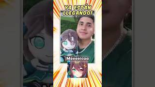 Los Meica-peluches están llegando a LATAM!
