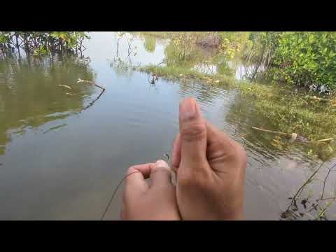 Spot Banyak ikannya tapi pada gak kena alias boncos🤣 ❗ mancing di pesisir