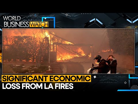 Los Angeles Fires To Top $50 Bn In Damage | World Business Watch | WIO