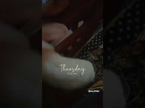 chiku❣️ #memories picture quality ❌ emotion 💯✅ #capture #capturememories #capturemoments #chiku