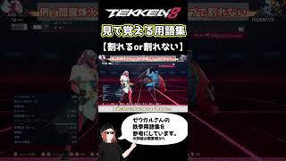 【鉄拳8】見て覚える用語集【割れるor割れない】