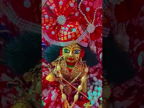 बंसी वाले को तुम यादकर लो #mereladdugopal #bhajan